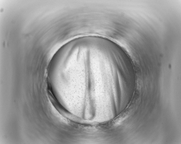 X0000088601524200706221353