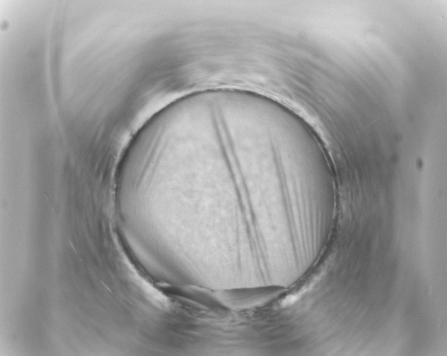 X0000088601525200706221353