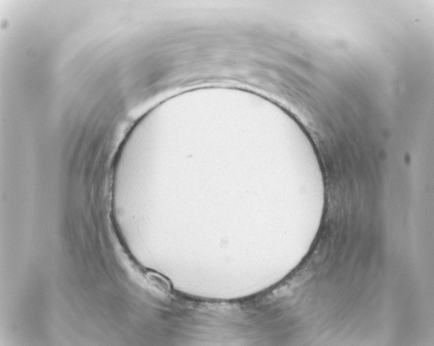 X0000088601526200706221353