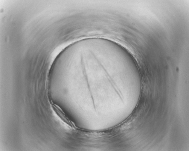 X0000088601527200706221353