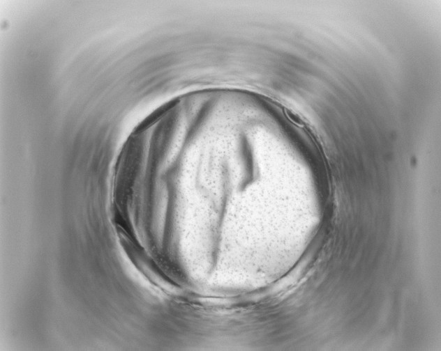 X0000088601528200706221353