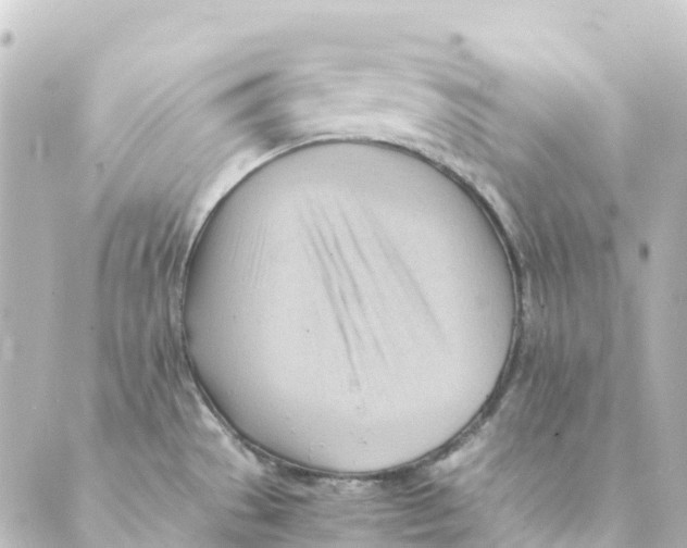 X0000088601529200706221353