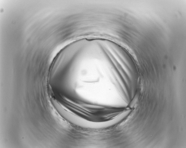 X0000088601530200706221353