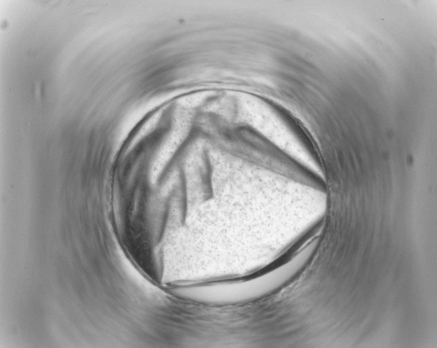 X0000088601531200706221353