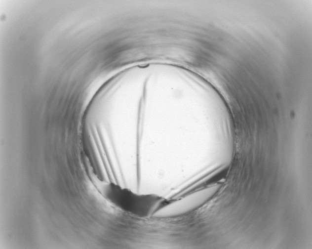 X0000088601532200706221353