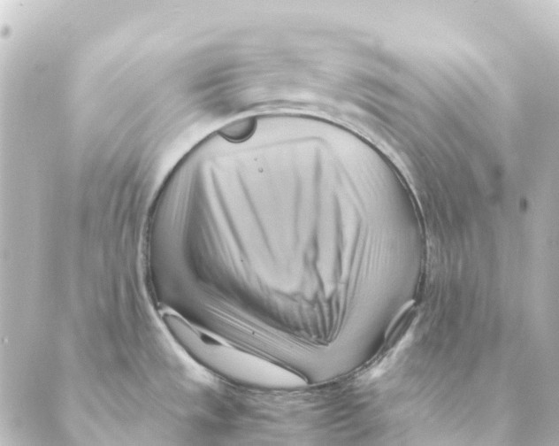 X0000088601533200706221353