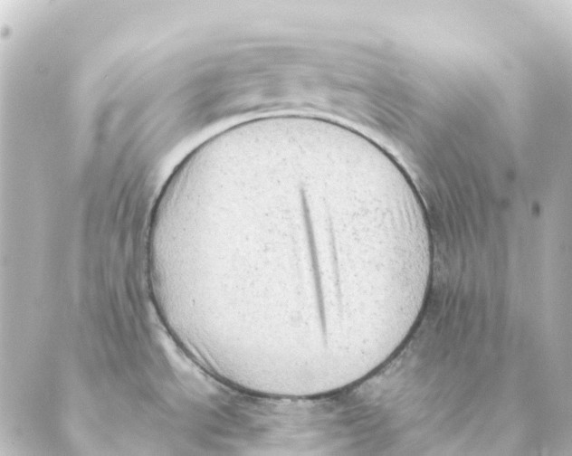 X0000088601534200706221353