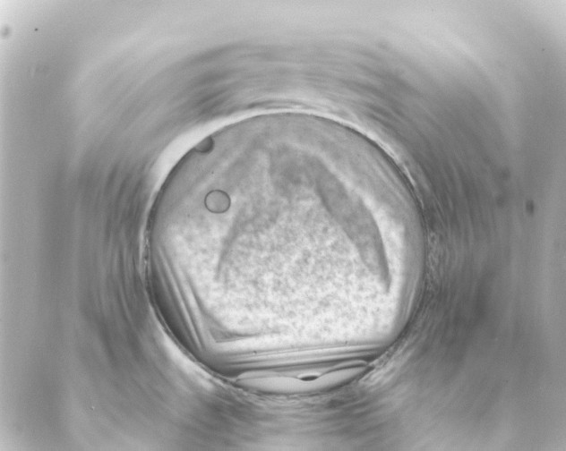 X0000088601535200706221353