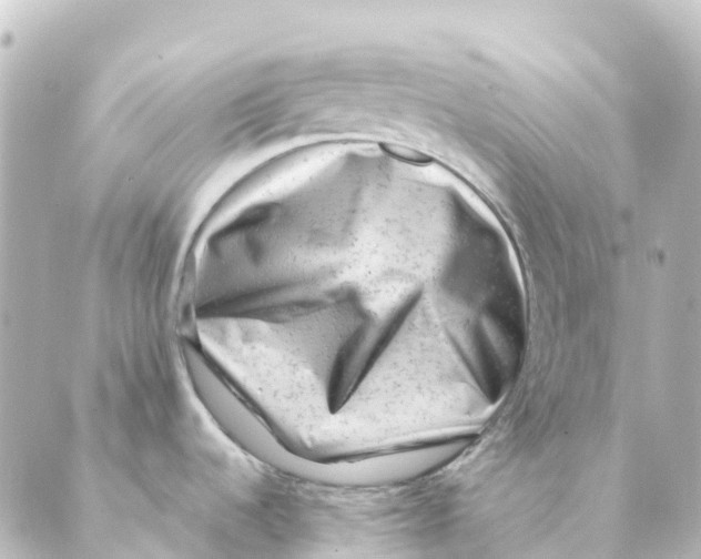 X0000088601536200706221353