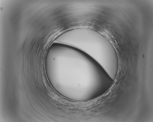 X0000088610001200705250909