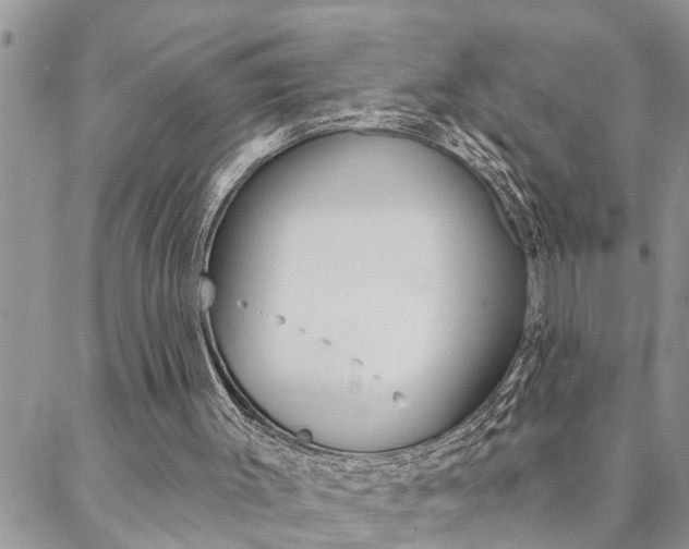 X0000088610003200705250909