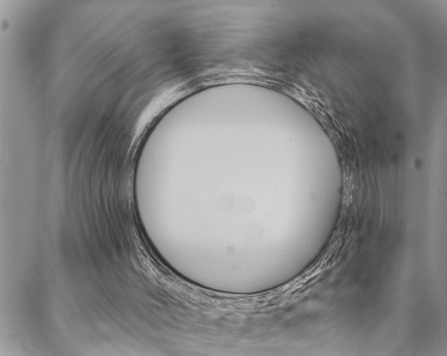 X0000088610004200705250909