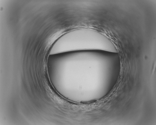 X0000088610005200705250909