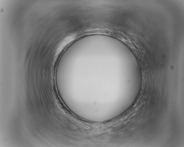 X0000088610006200705250909