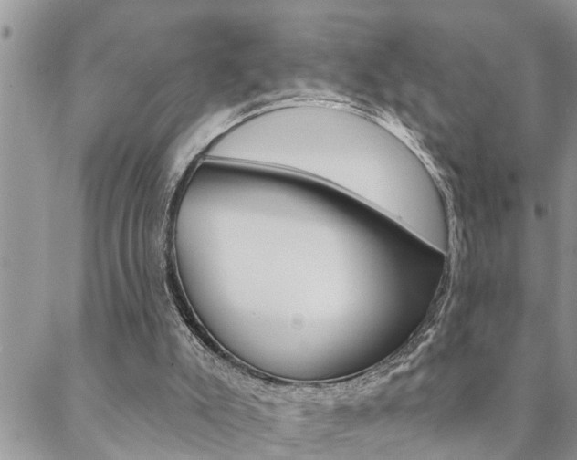 X0000088610007200705250909