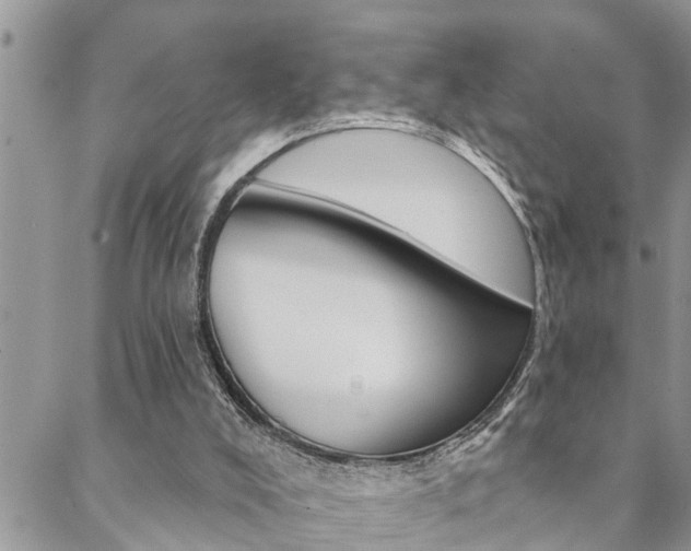 X0000088610008200705250909