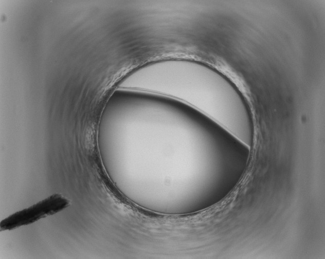 X0000088610009200705250909