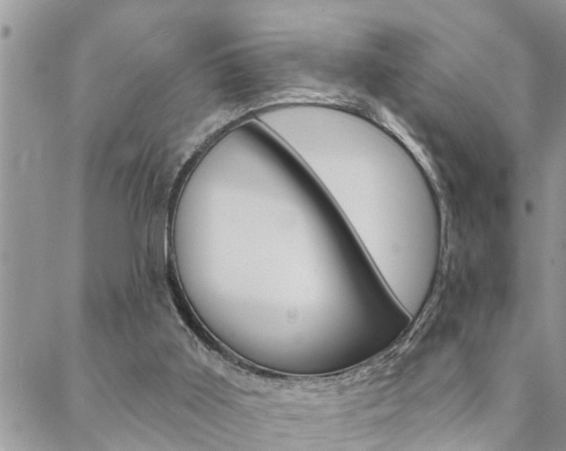 X0000088610011200705250909