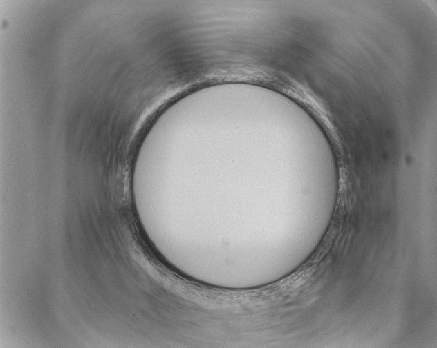 X0000088610012200705250909