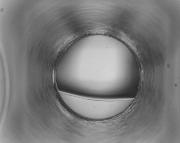 X0000088610013200705250909