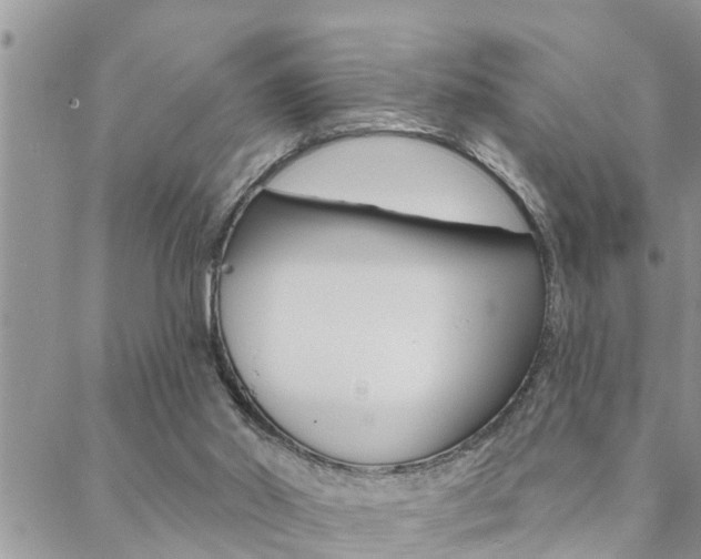 X0000088610014200705250909