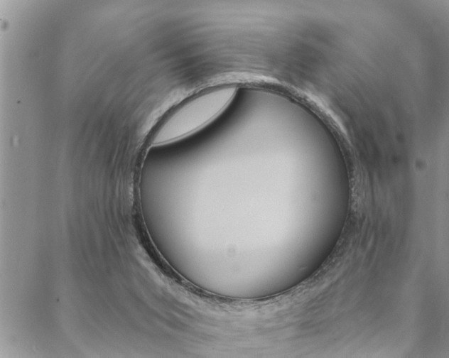 X0000088610015200705250909