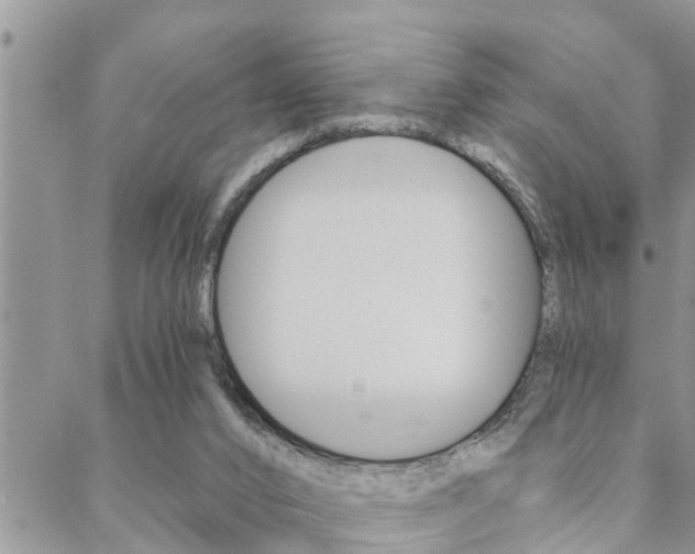 X0000088610016200705250909