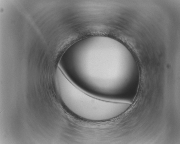 X0000088610017200705250909