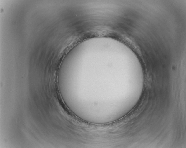 X0000088610018200705250909