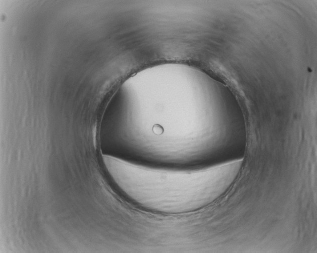 X0000088610019200705250909