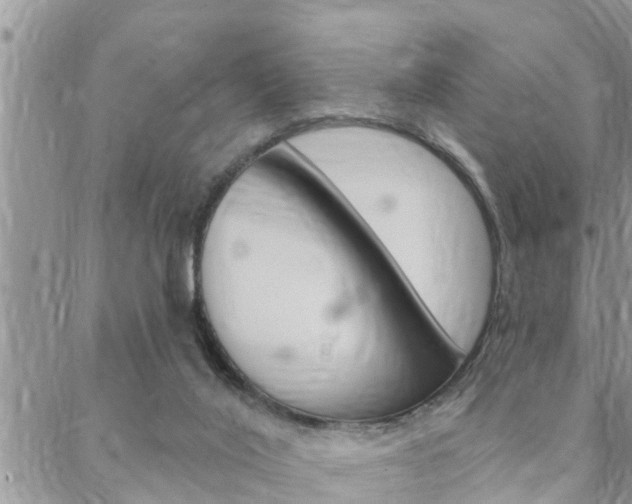 X0000088610020200705250909