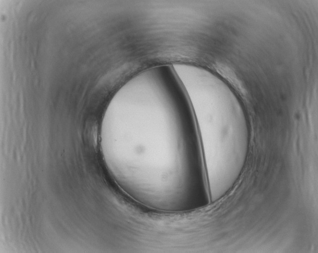 X0000088610021200705250909