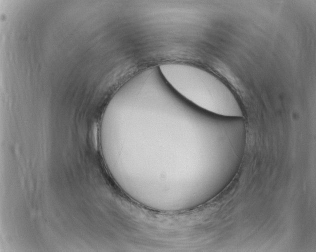 X0000088610022200705250909