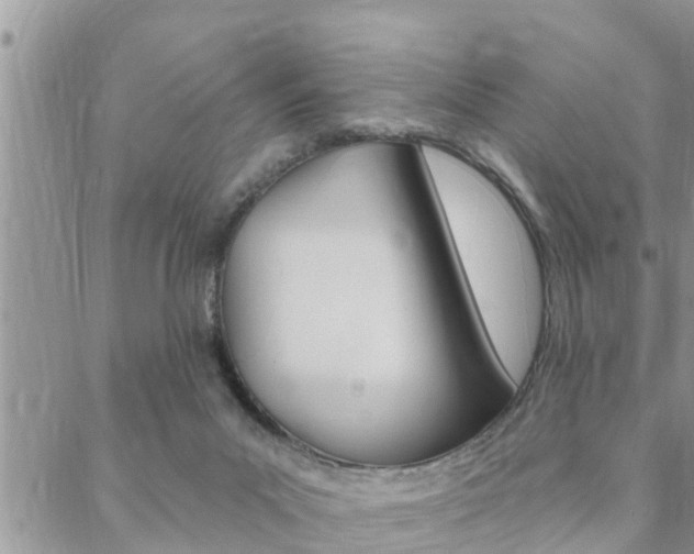 X0000088610023200705250909