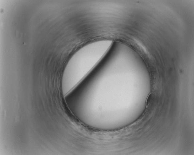 X0000088610025200705250909