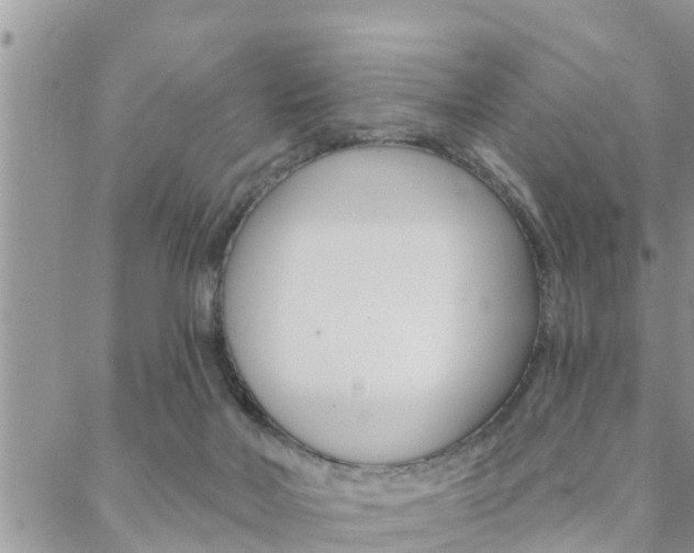 X0000088610026200705250909