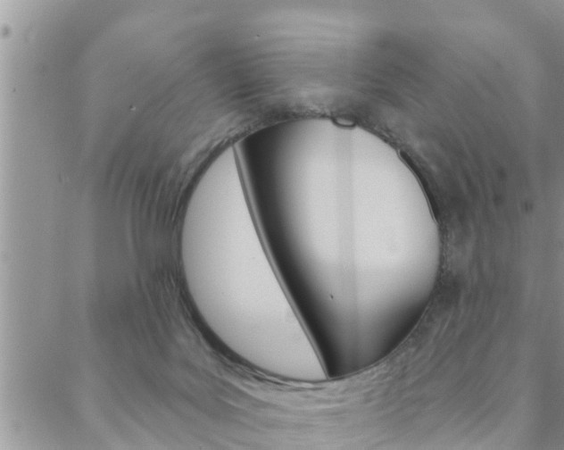 X0000088610027200705250909