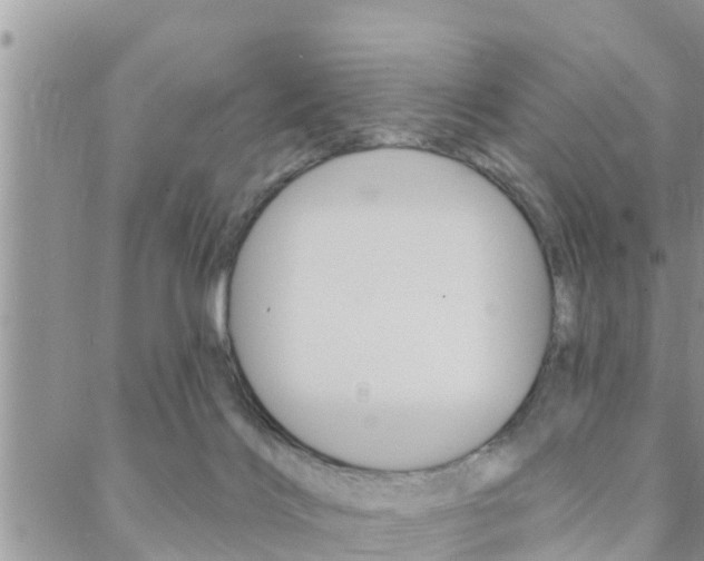 X0000088610028200705250908