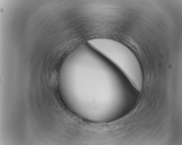 X0000088610029200705250908