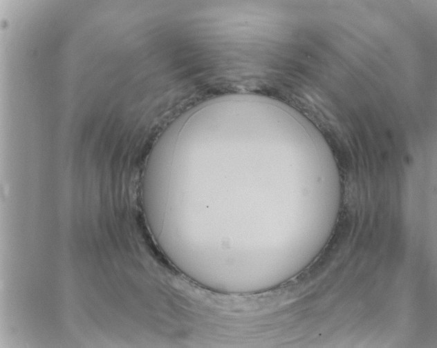 X0000088610030200705250908