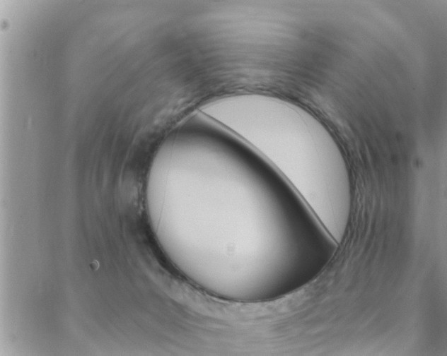 X0000088610031200705250908