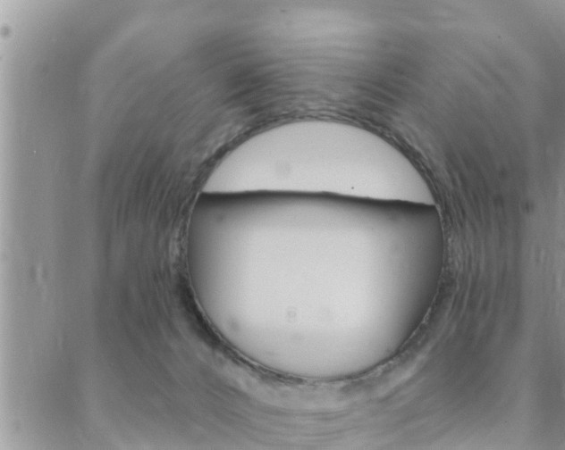 X0000088610032200705250908