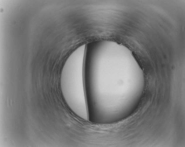 X0000088610033200705250908