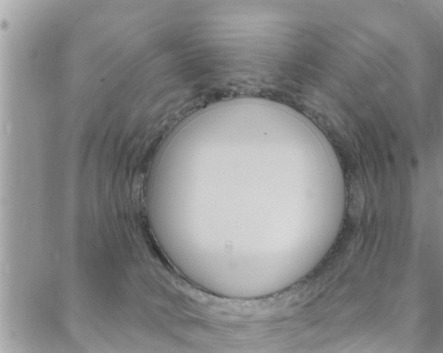 X0000088610034200705250908