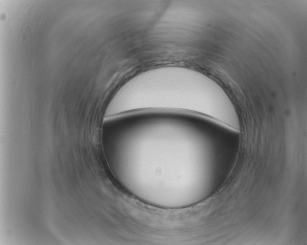 X0000088610035200705250908