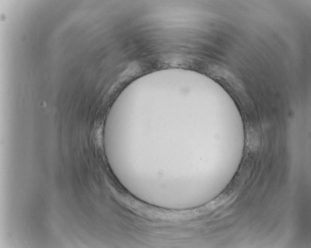 X0000088610036200705250908