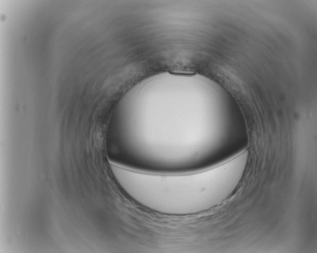 X0000088610037200705250908