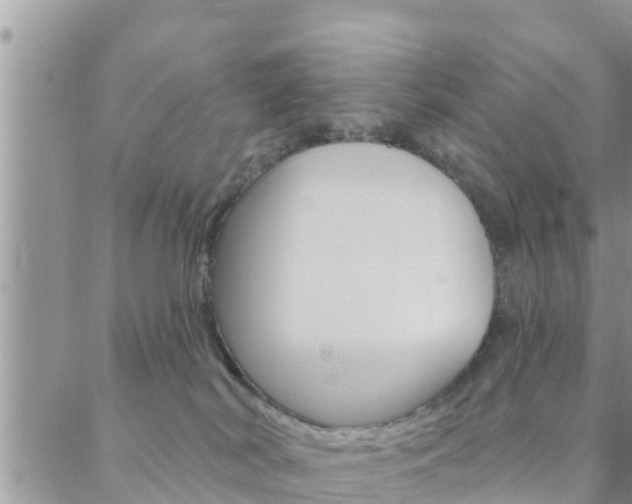 X0000088610038200705250908