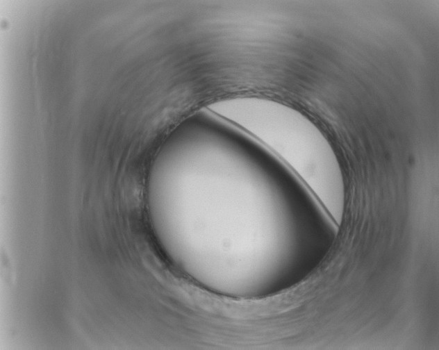 X0000088610039200705250908