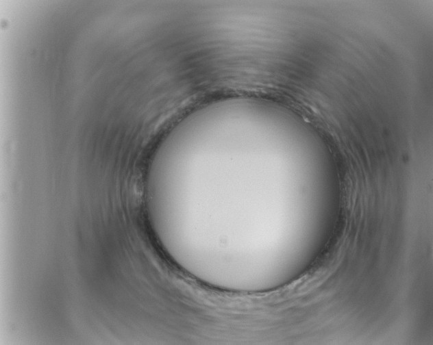 X0000088610040200705250908